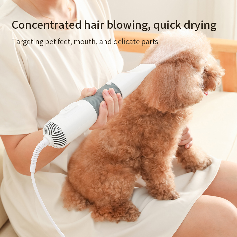 3 in1 Pet Dog Dryer Quiet Dog  - Hot Dog Press recensione e prezzo