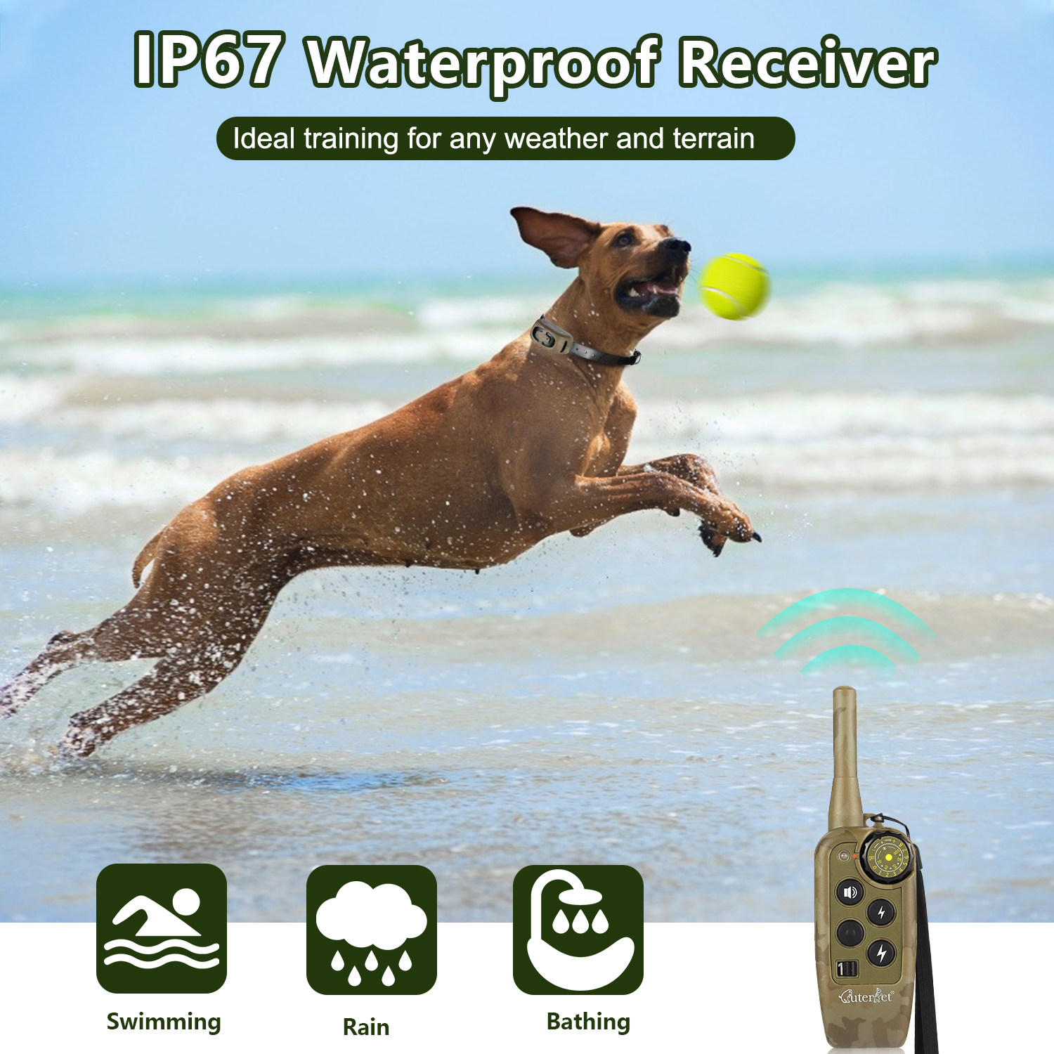 1000m Electric Dog Training Co - Hot Dog Press recensione e prezzo