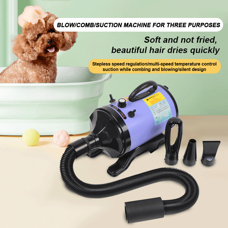 2800W High-power Dogs Hair Dry - Hot Dog Press recensione e prezzo