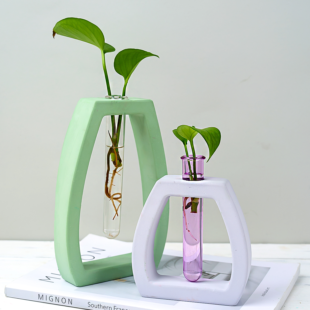 Hydroponic Test Tube Vase Sili - Potsticker Mold recensione e prezzo