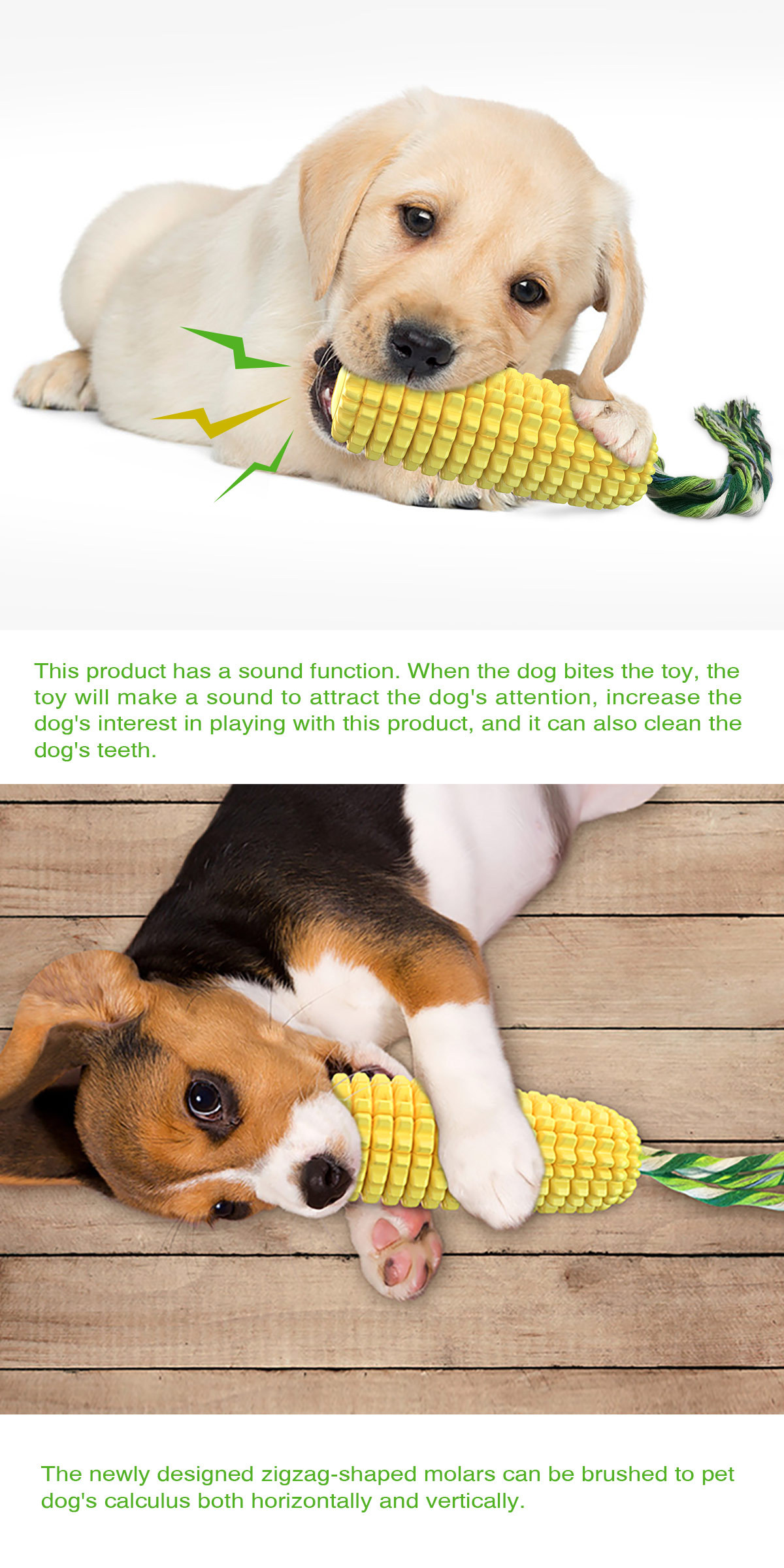 Hot Selling Large Size Corn Sh - Corn Dog Stick recensione e prezzo