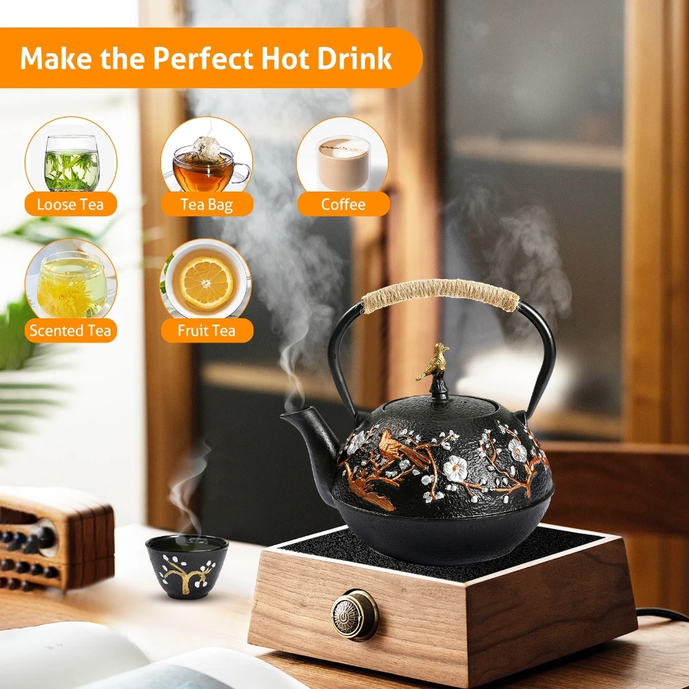 Cast Iron Teapot Set with Alco - Cast Iron Corn recensione e prezzo