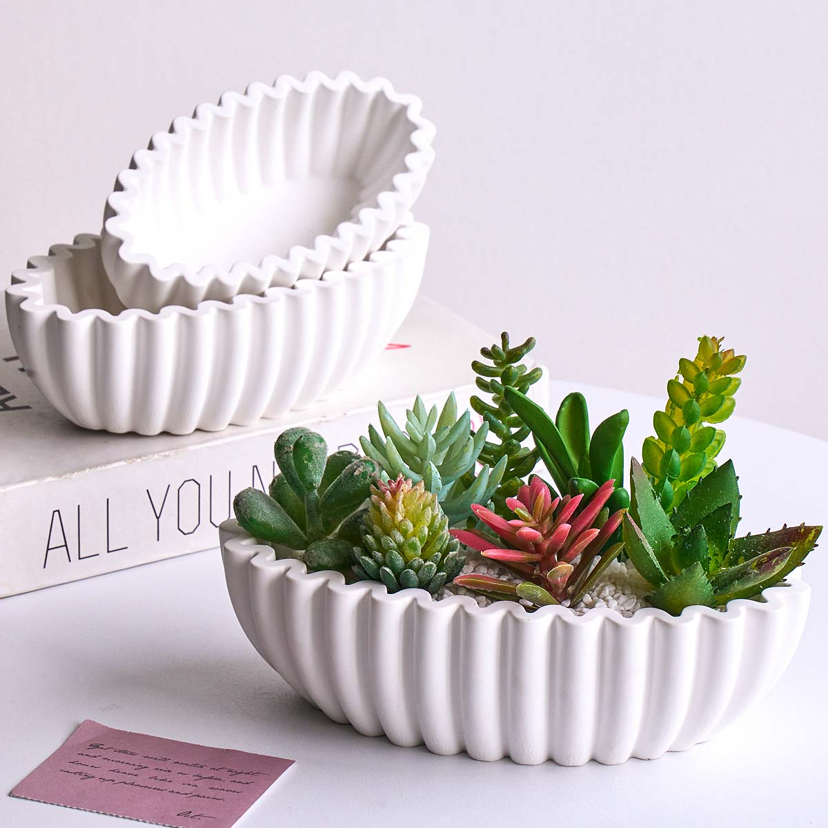 S/M/L Oval Striped Storage Bow - Potsticker Mold recensione e prezzo