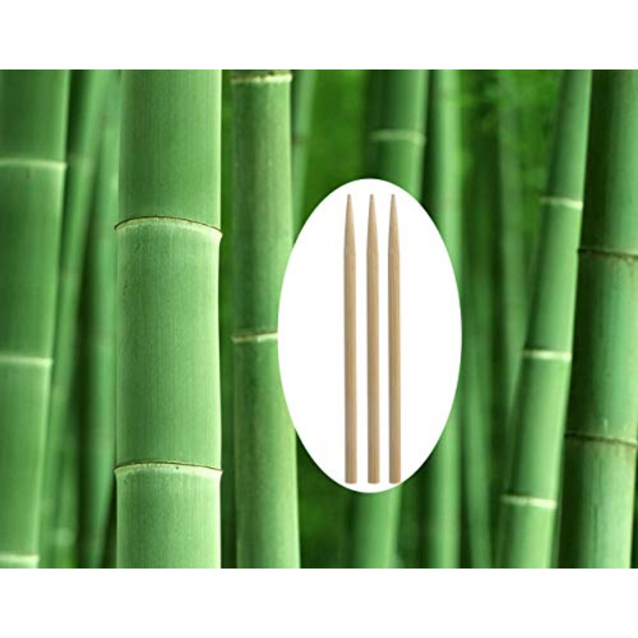 5.5 inch Thick Bamboo Sticks f - Corn Dog Stick recensione e prezzo